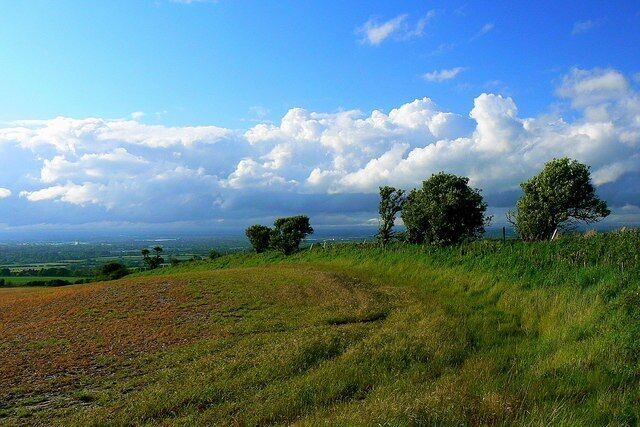 Field margin, the Ridgeway, Liddington The field margin proceeds down the scarp towards the M4, out of view in this image.