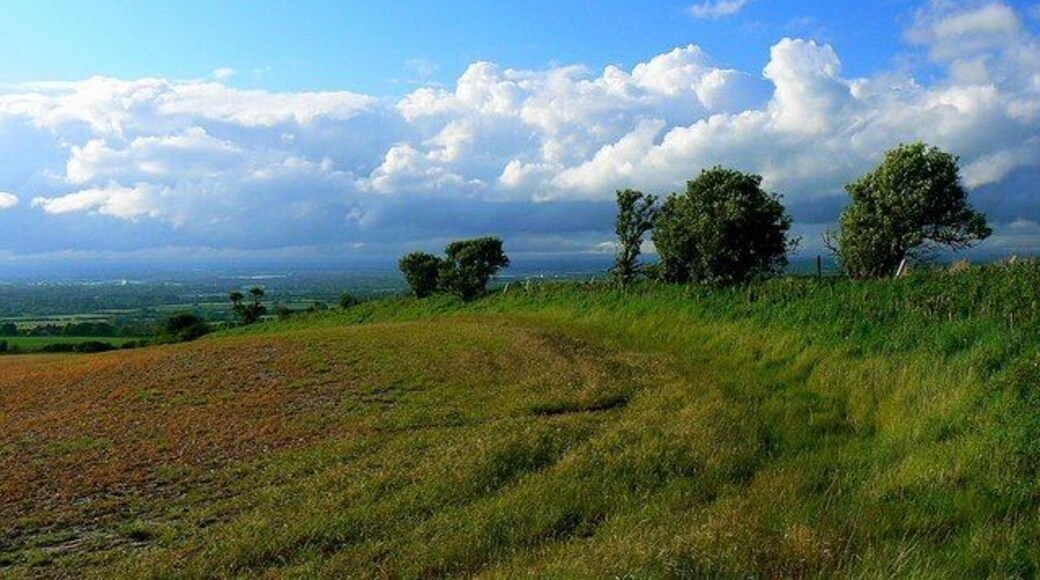 Field margin, the Ridgeway, Liddington The field margin proceeds down the scarp towards the M4, out of view in this image.