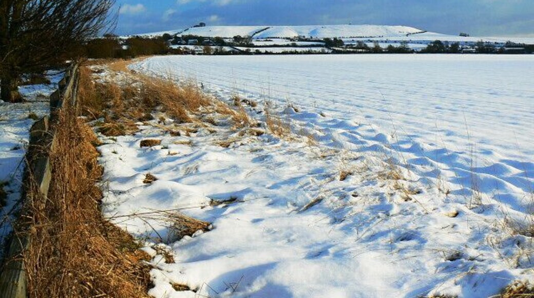 Field margin, Purley Road, Liddington The road is just to the left out of shot. In the far distance is Liddington Hill.