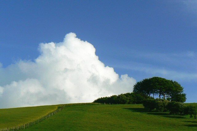 Liddington Hill, south of Swindon on a changeable day The weather has been quite dire for the last week. There was a break in the overcast on this day towards the end of the afternoon. The trees are beeches.