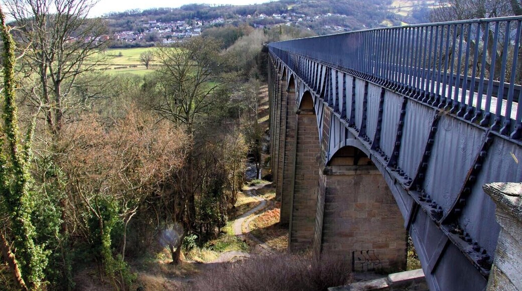 The Pontcysyllte Aqueduct