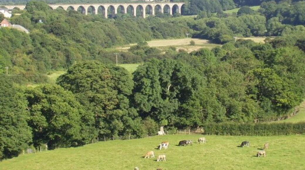Cefn viaduct from Pontcysyllte aqueduct