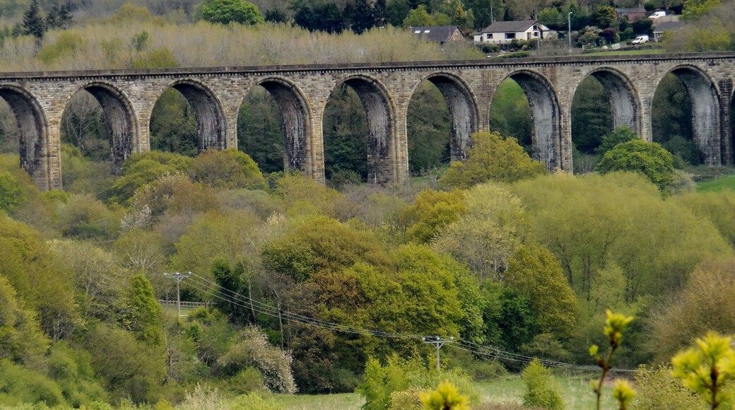 Llangollen Rural, UK