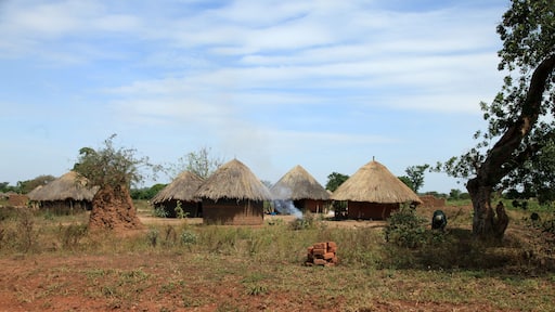 Dirt Road - Uganda, Africa