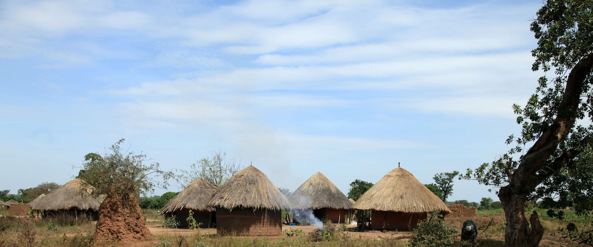 Thatched-roof huts in a rural setting with a clear sky.