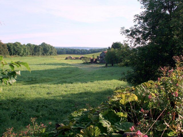 A rural landscape with a grassy field, trees, and a small house in the distance.