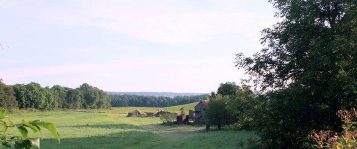 A rural landscape with a grassy field, trees, and a small house in the distance.