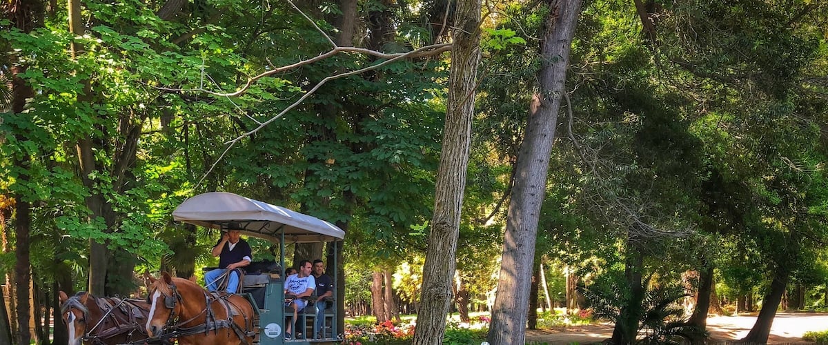 The beautiful grounds at the Hotel Casa Real. Take a long walk. The grounds are so beautifully maintained and the wine is worthy!