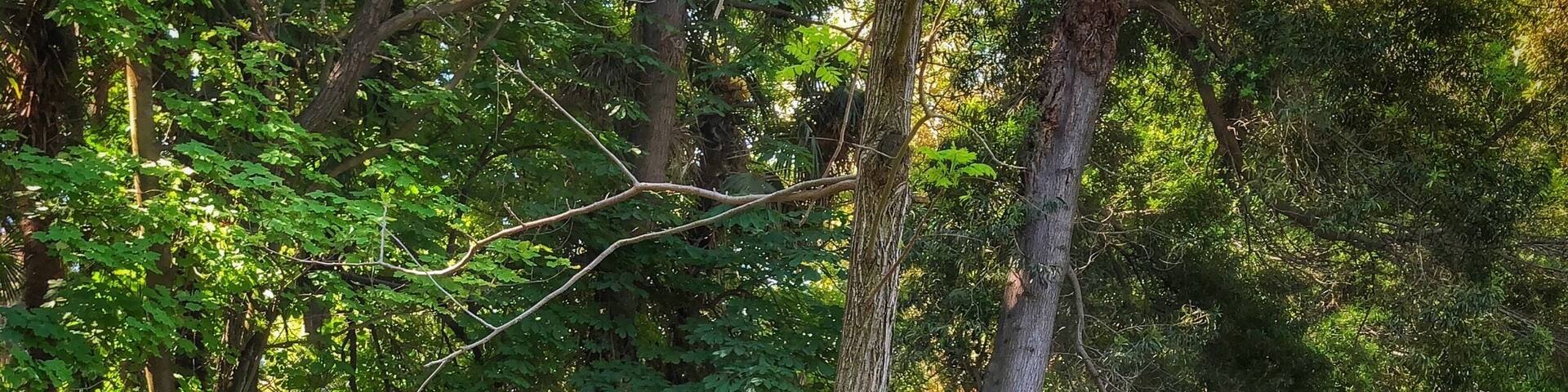 The beautiful grounds at the Hotel Casa Real. Take a long walk. The grounds are so beautifully maintained and the wine is worthy!