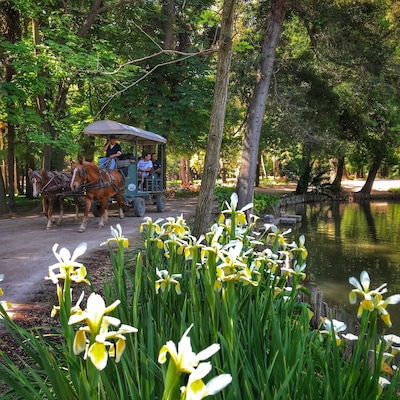 The beautiful grounds at the Hotel Casa Real. Take a long walk. The grounds are so beautifully maintained and the wine is worthy!