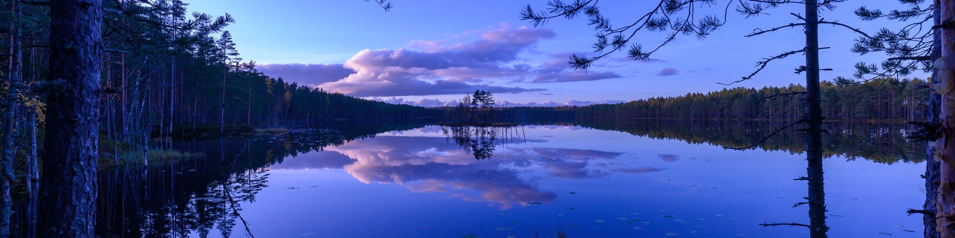 A calm lake surrounded by trees with a clear reflection of the sky and clouds.