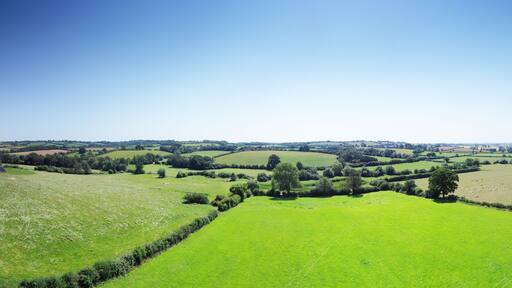 Rolling green fields, scattered trees, and distant hills under a clear sky.