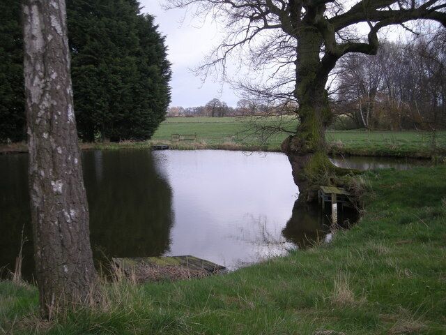 Pond at Hawgreen
