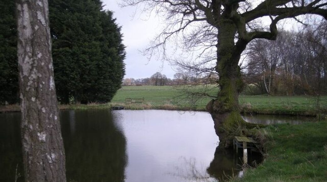 Pond at Hawgreen
