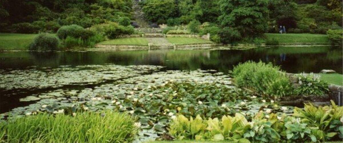 A large building surrounded by lush greenery and a pond with lily pads.