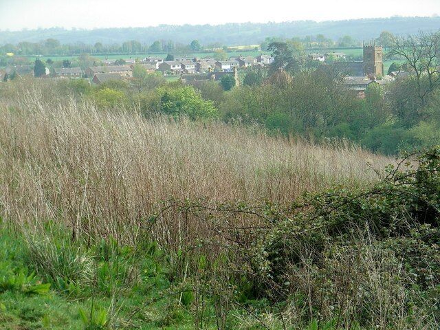 Milcombe, from Fern Hill