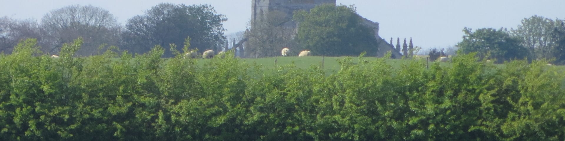Fotheringay from Eaglethorpe - April 2014