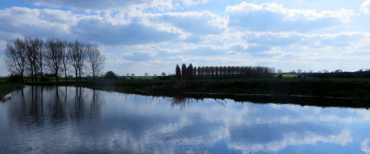 A calm lake reflecting trees and a cloudy sky.