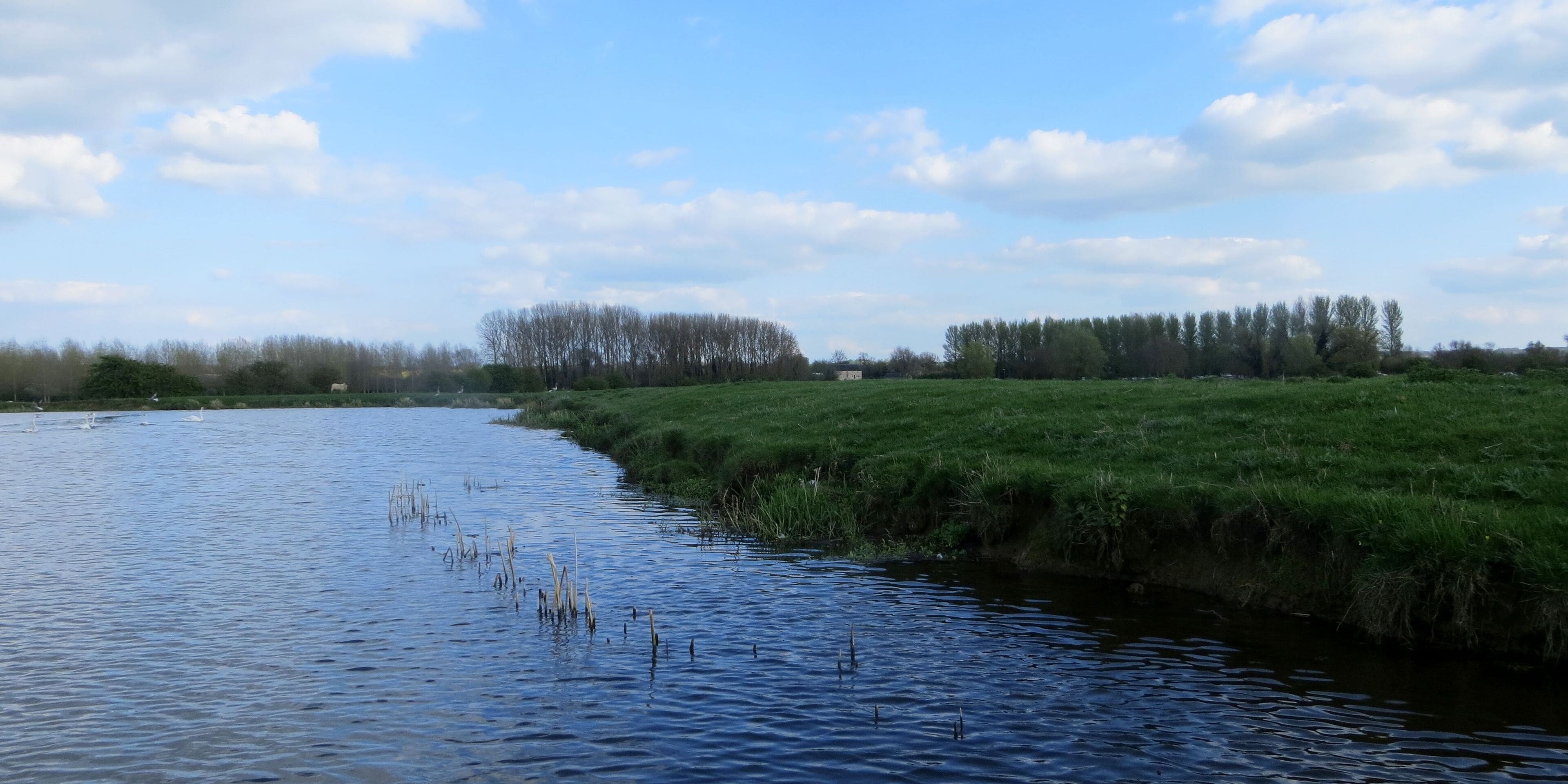 Evening river - April 2014