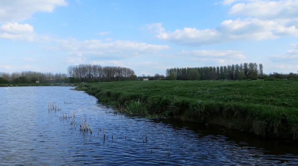 Evening river - April 2014