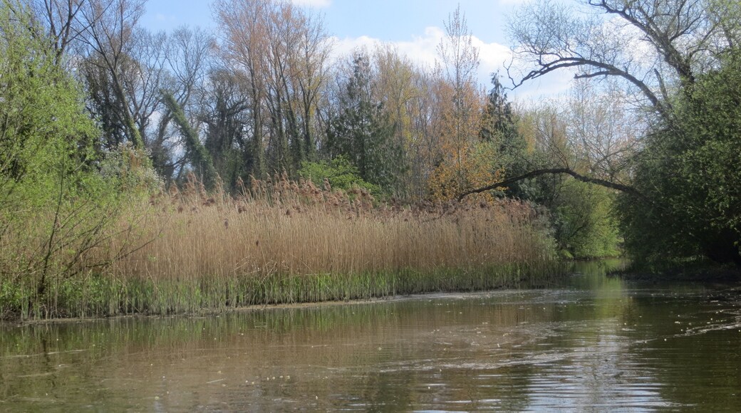 On the River Nene between Elton & Warmington - April 2014
