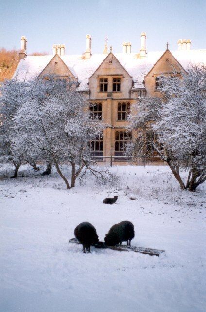 Woodchester Mansion in snow.