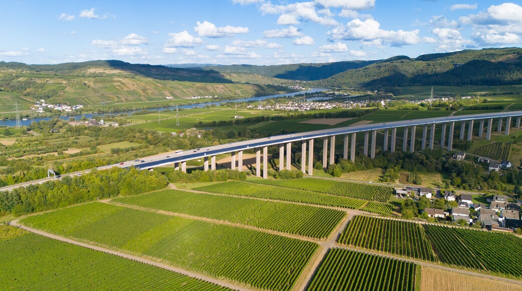 Moselle Viaduct Longuich, vineyard in Mosel valley, bridge of highway crossing river near Trier, german autobahn, aerial view