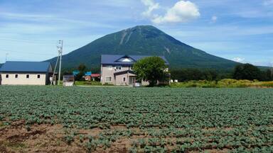 ăŸăŁăăăŠăŒăčăăčăă«ăăăăŻăŻçŸèčć±±ă