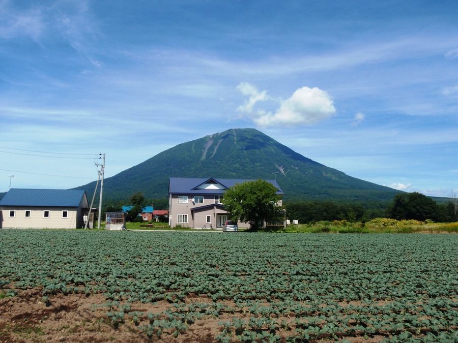 まっかりユースホステル、バックは羊蹄山。