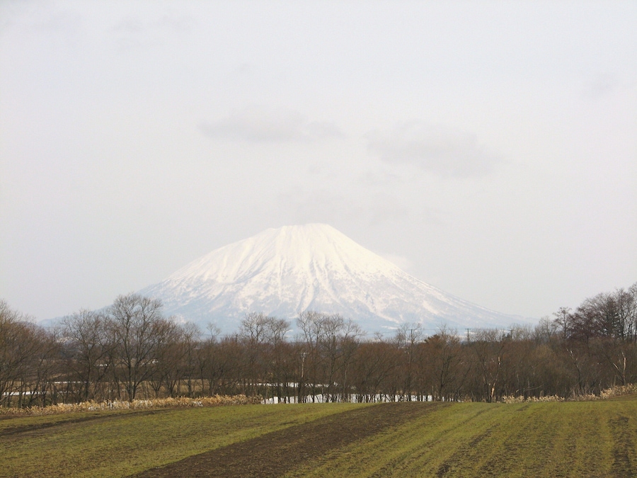 A snow-capped mountain in the distance, surrounded by a field and leafless trees.