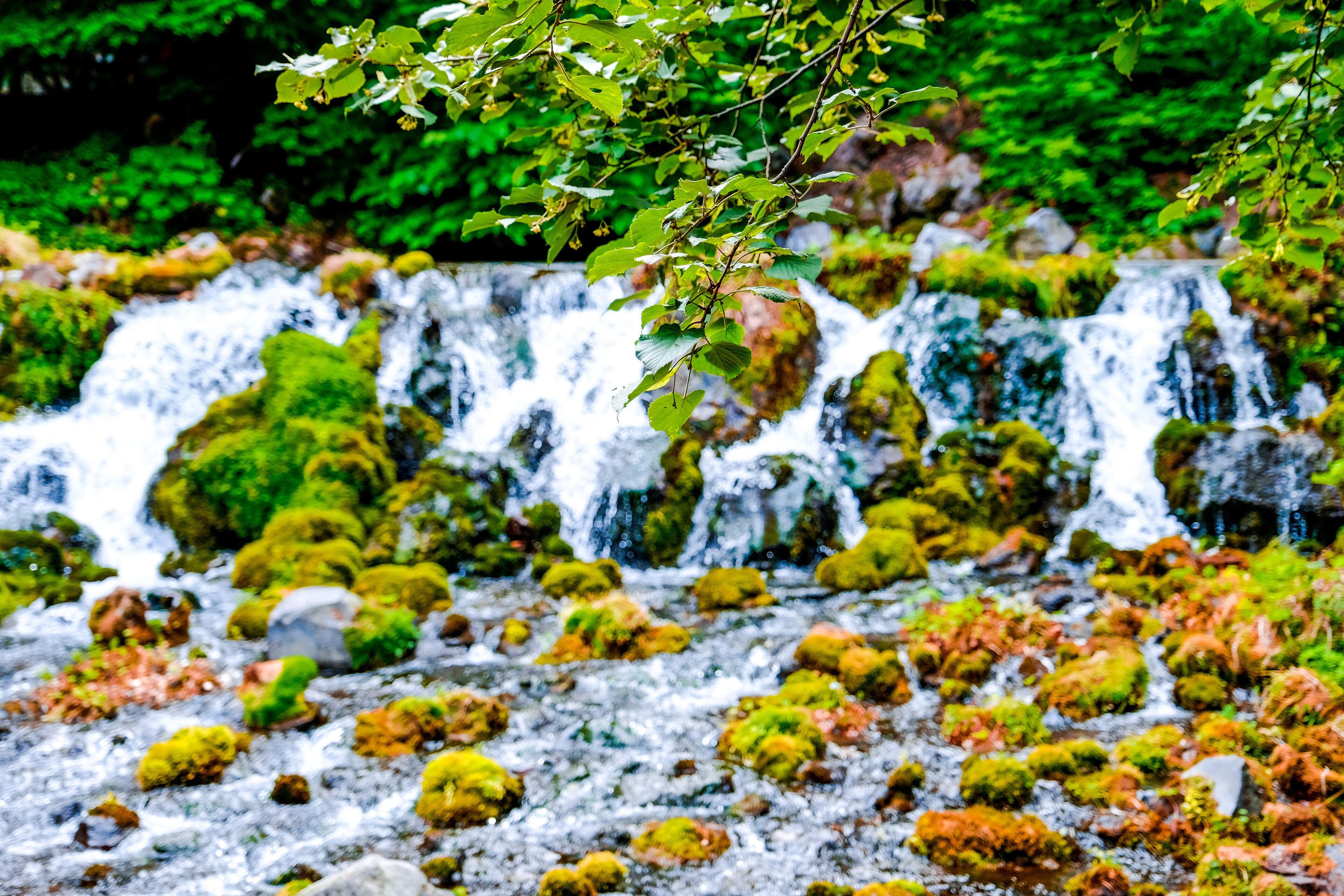 A waterfall with moss-covered rocks and green foliage.