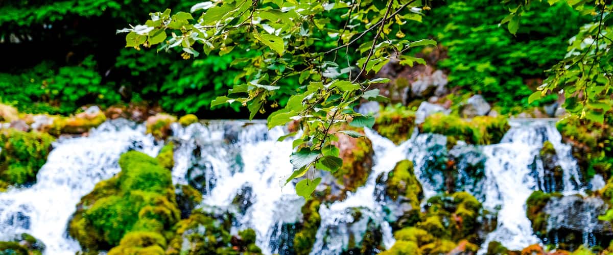 A waterfall with moss-covered rocks and green foliage.