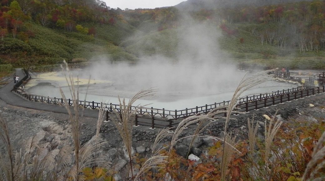 煮えたぎる泥の沼(Mud springs)