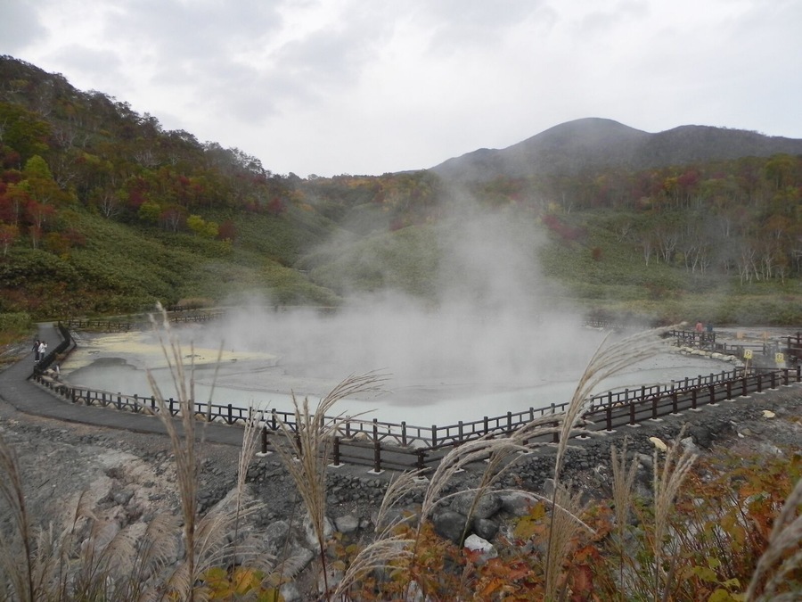煮えたぎる泥の沼(Mud springs)