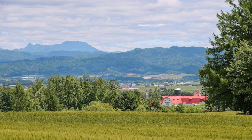 北海道長沼町の農場の風景 / Scenery of a farm in Naganuma Town, Hokkaido