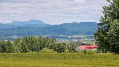 Paisagem rural com um campo, um edifício de telhado vermelho e montanhas ao fundo.