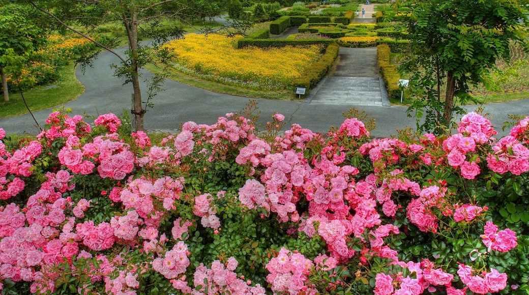 ゆにガーデン(Yuni Garden)