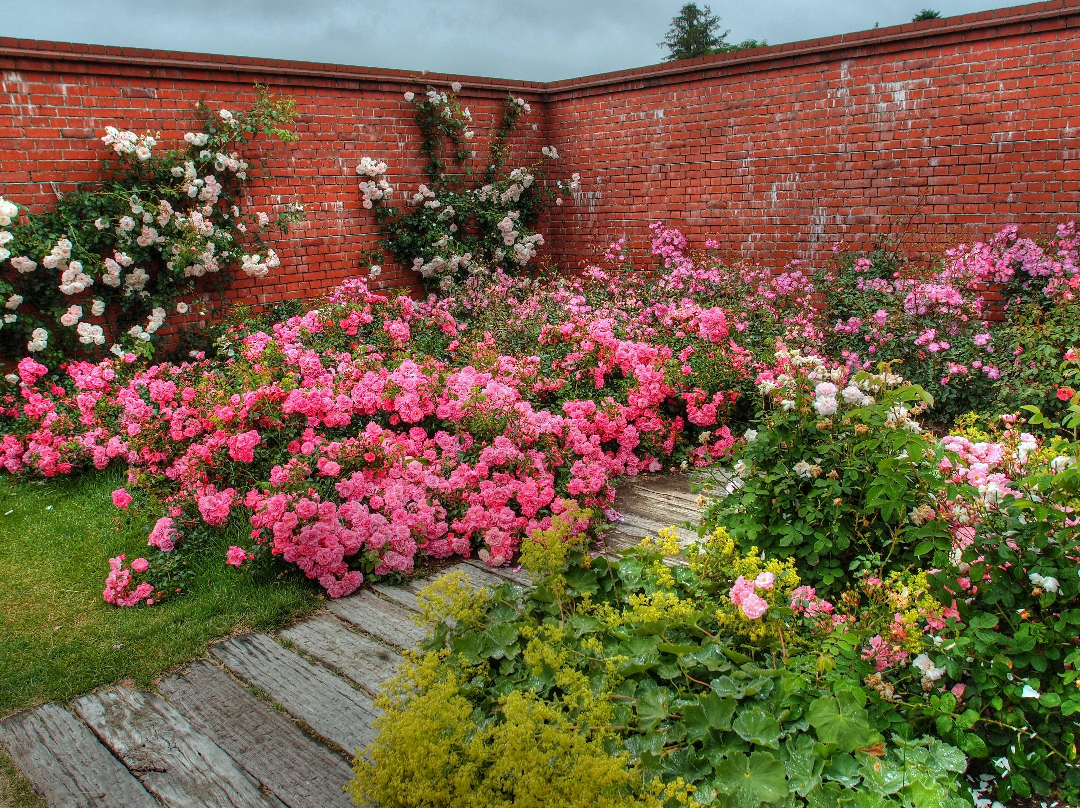ゆにガーデン（Yuni Garden）