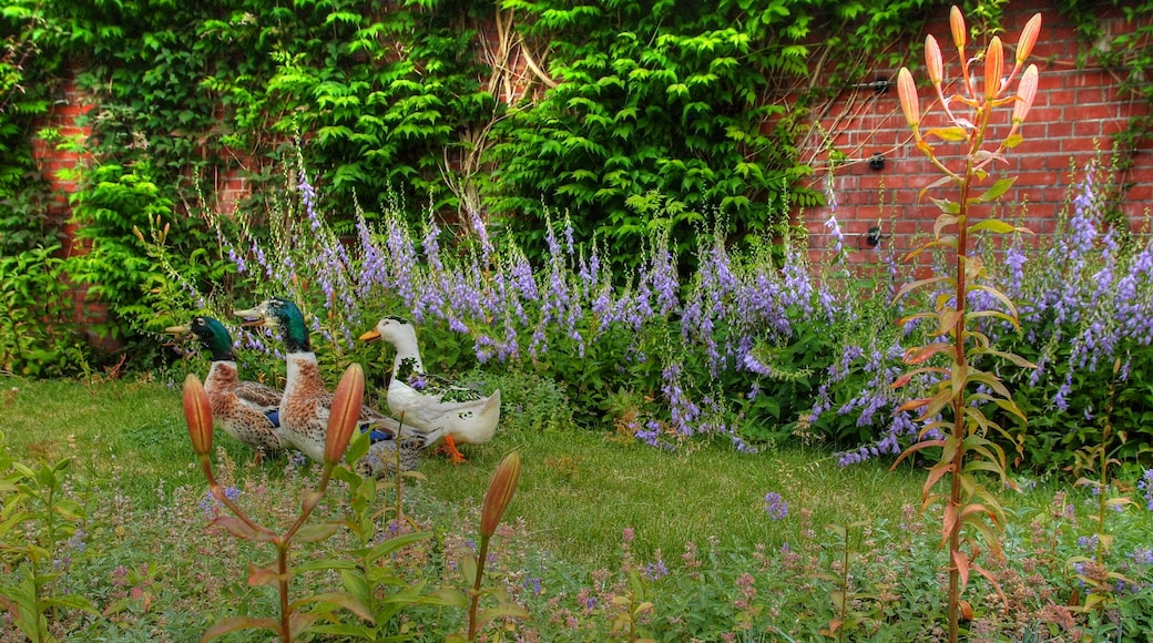ゆにガーデン(Yuni Garden)
