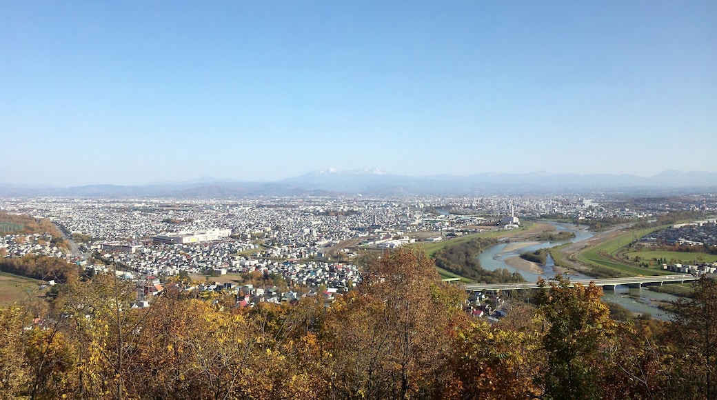 Cityscape of Asahikawa from Mt. Arashiyama observatory, Hokkaido, Japan