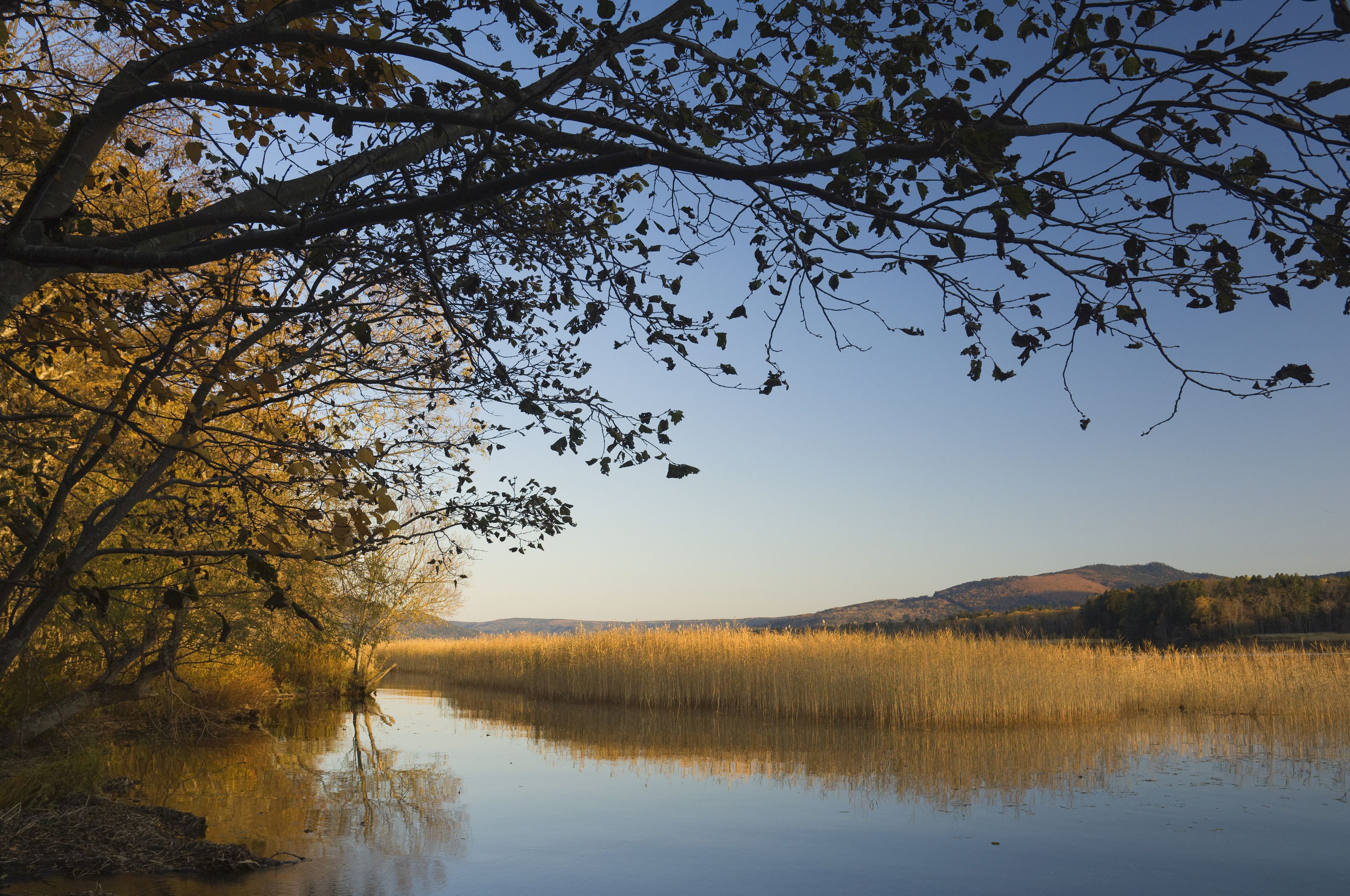 A calm river with reflections of trees and a clear sky.