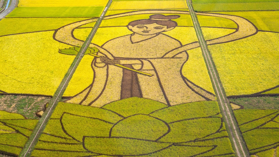 田んぼアート