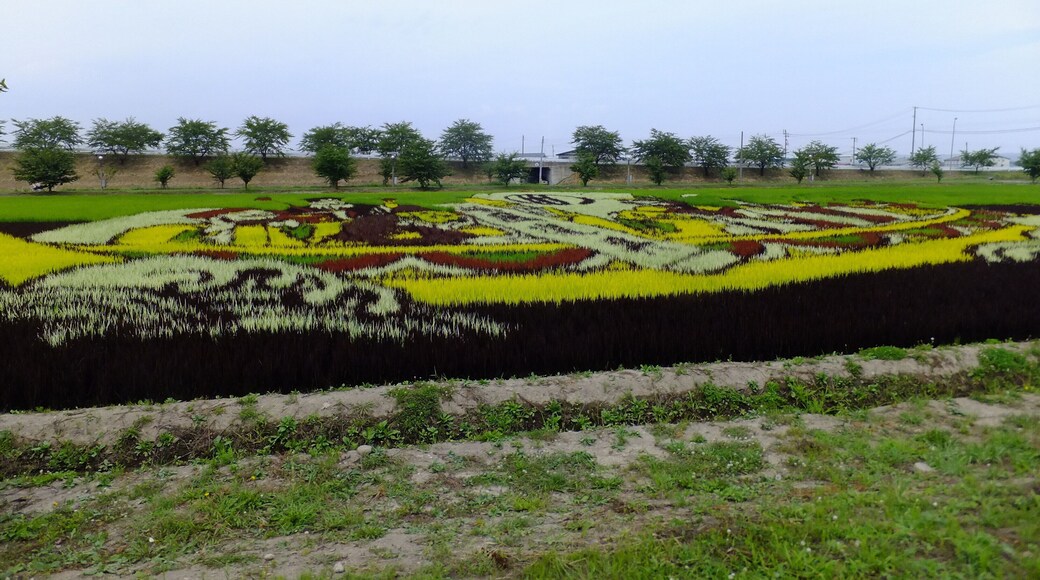 Inakadate "Yayoi village".