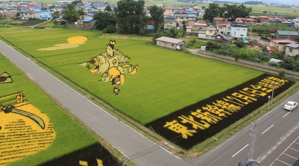 田舎館田んぼのアート