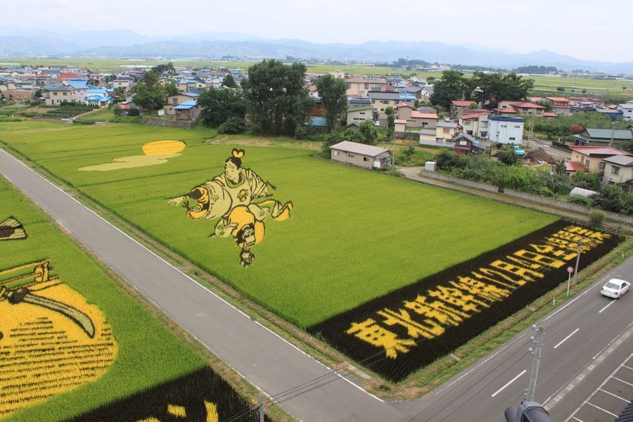 田舎館田んぼのアート