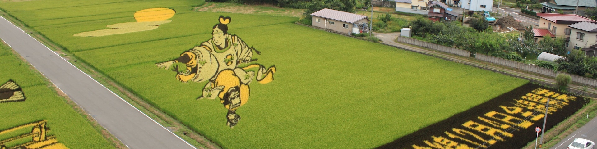 田舎館田んぼのアート