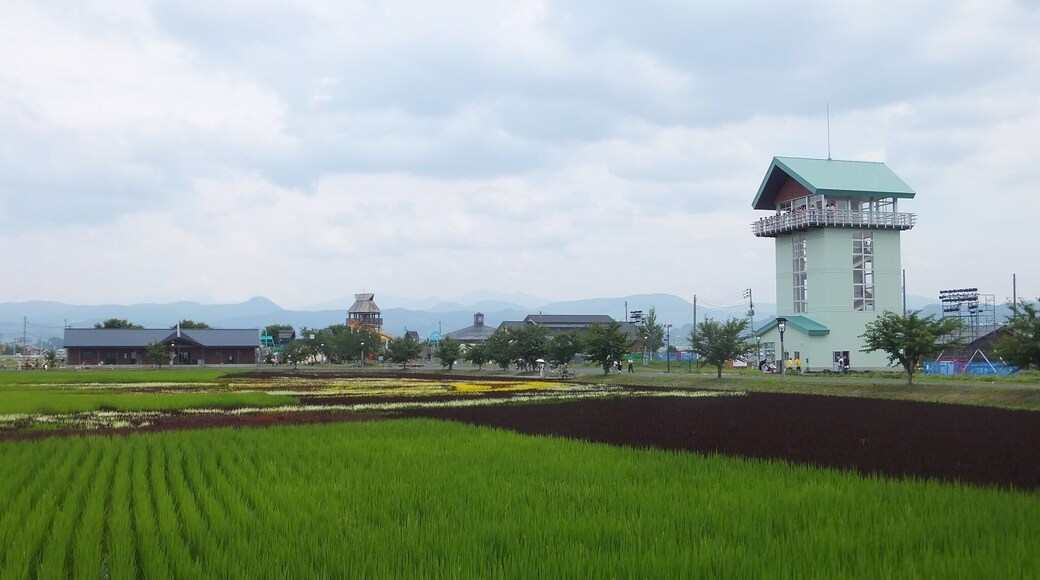 道の駅いなかだて「弥生の里」