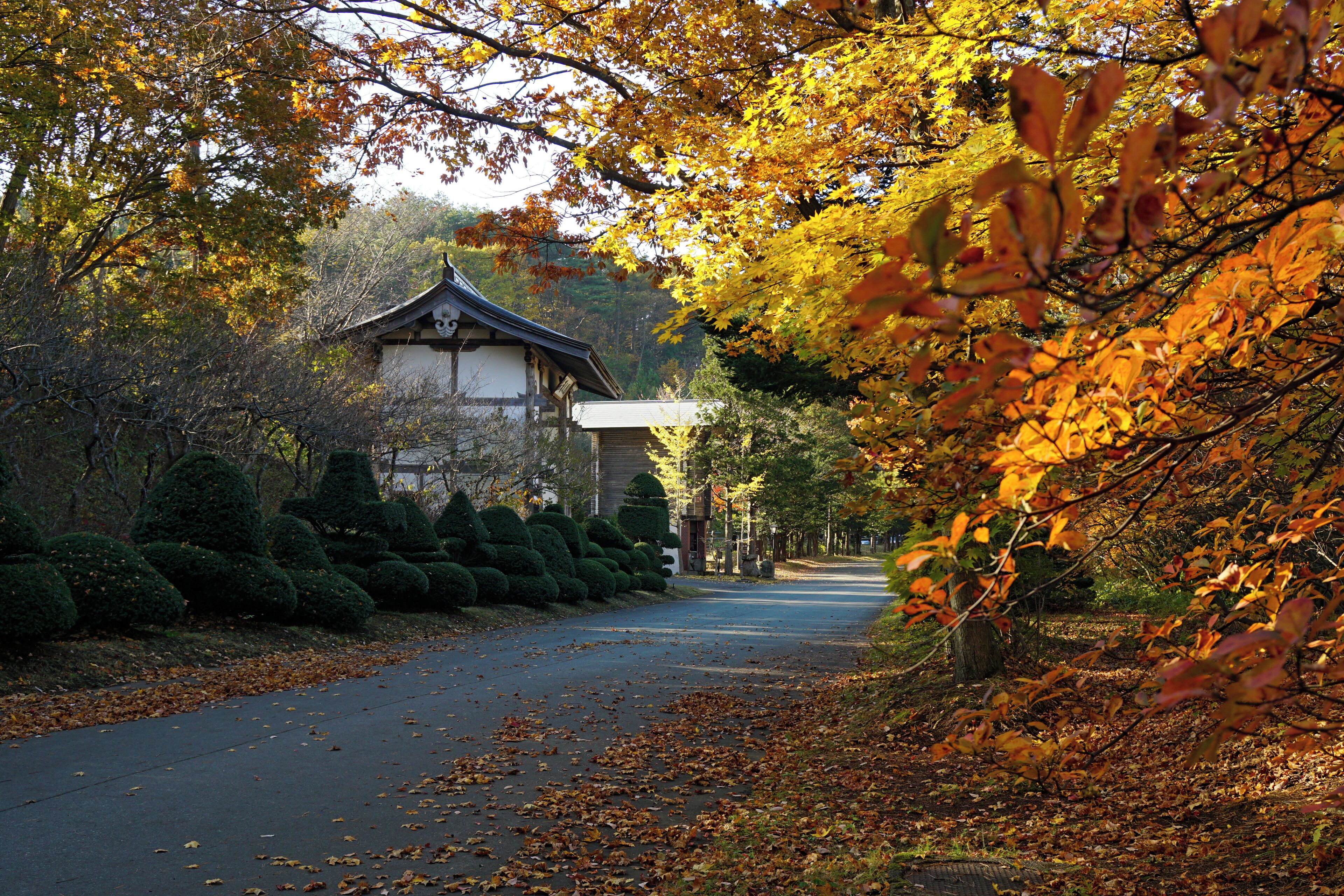 At Komaki Onsen Shibusawa Park in Misawa, Aomori prefecture, Japan.