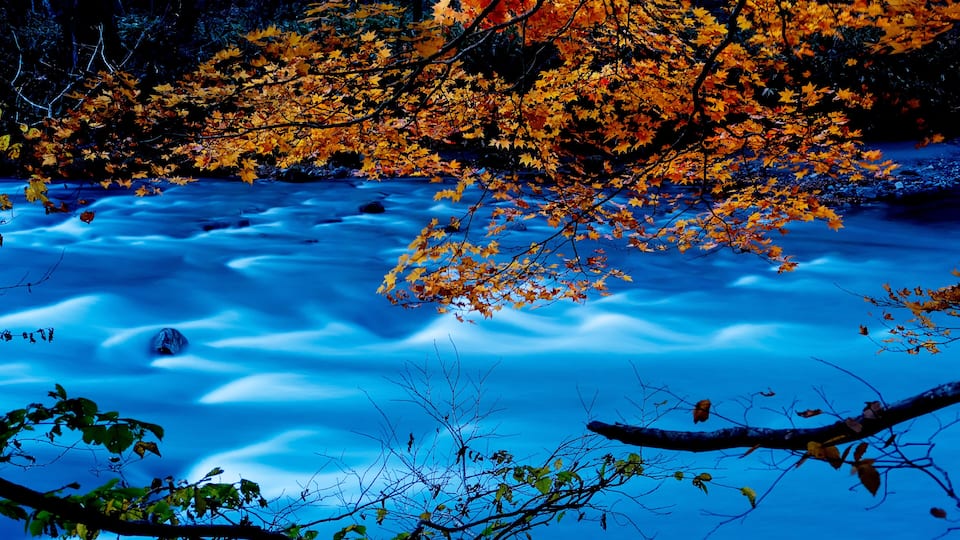 Oirase Gorge beautiful river druing the autumn season, Japan