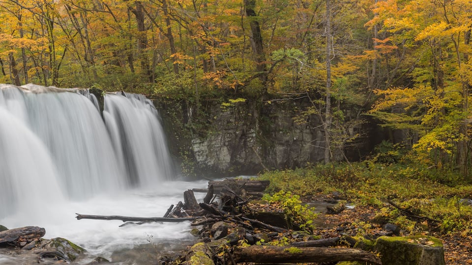 A waterfall surrounded by autumn foliage.